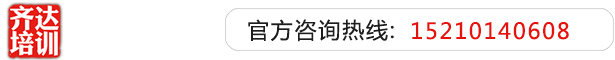 白白让你操齐达艺考文化课-艺术生文化课,艺术类文化课,艺考生文化课logo